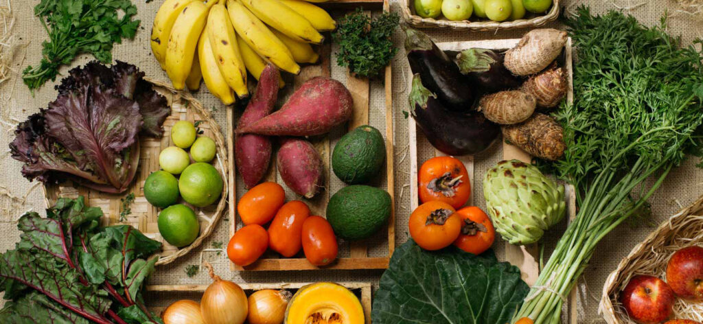 importação de produtos vegetais
